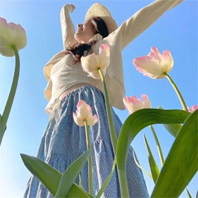 奇妙仙子：海盗仙子 海报